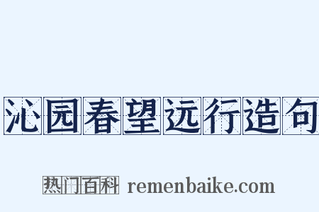 沁园春望远行造句是什么意思的图片
